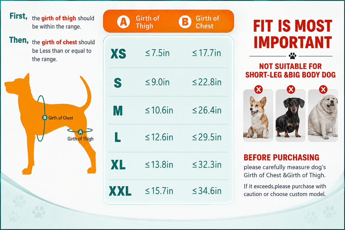 Dog Knee Brace & Hind Leg Support Harness
