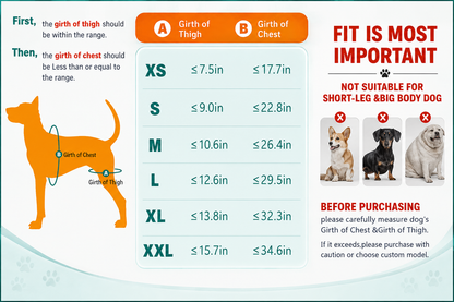 Dog Knee Brace & Hind Leg Support Harness