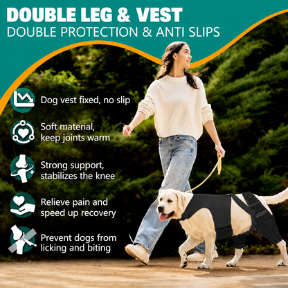 Dog Knee Brace & Hind Leg Support Harness